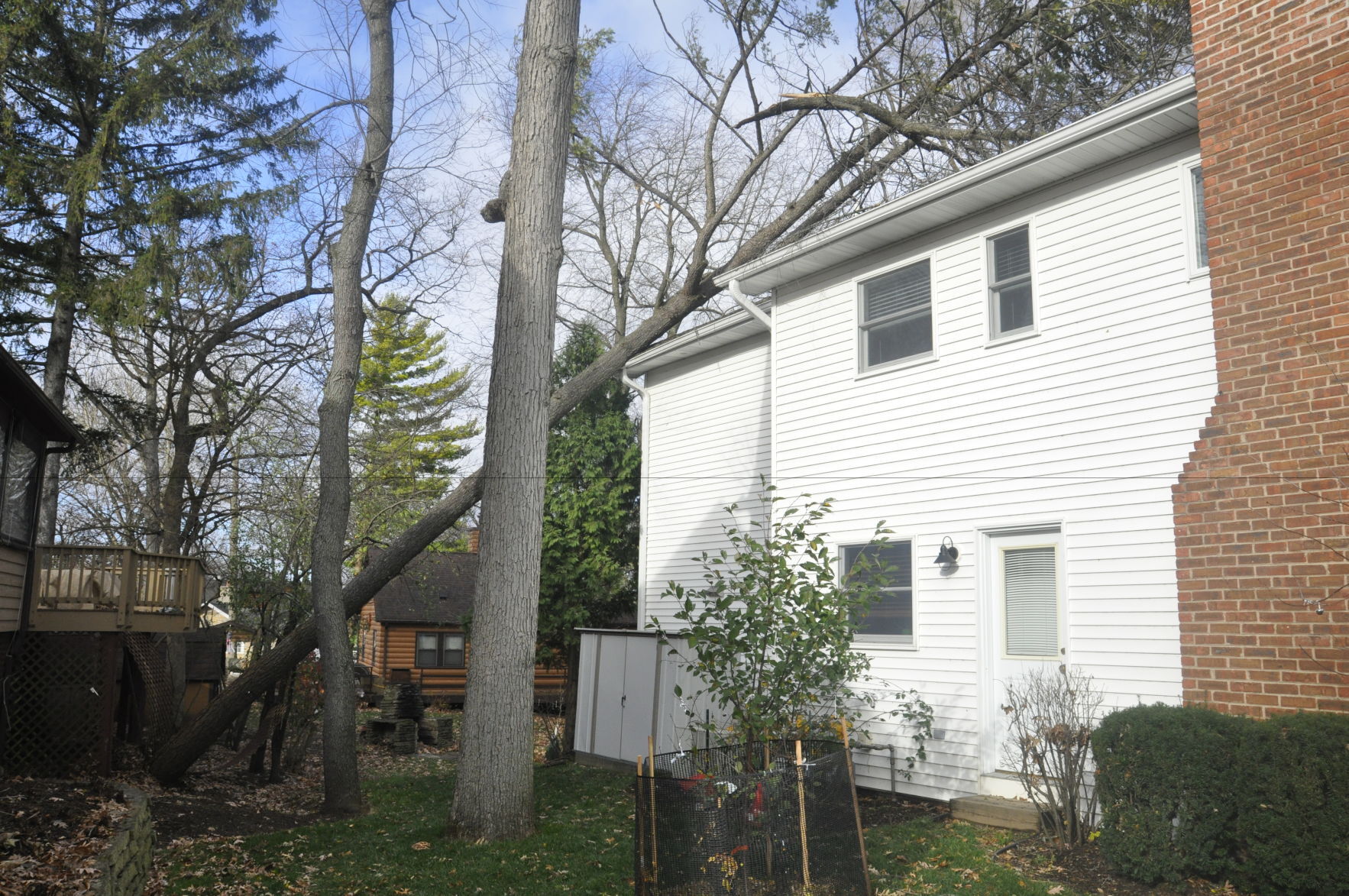 Downed tree on Indian Hills home